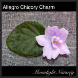Allegro Chicory Charm