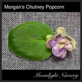 Morgan's Chutney Popcorn