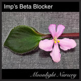 Imp's Beta Blocker