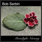 Bob Serbin