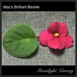 Mac's Brilliant Bauble