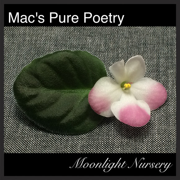 Mac's Pure Poetry