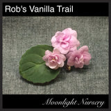 Rob's Vanilla Trail