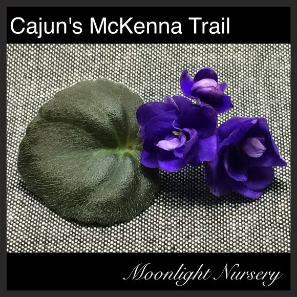 Cajun's McKenna Trail