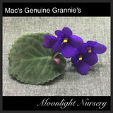 Mac's Genuine Grannie's