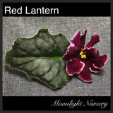 Red Lantern