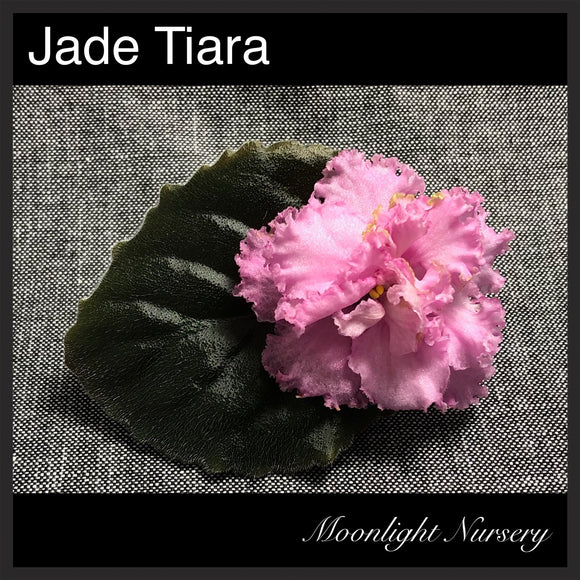 Jade Tiara