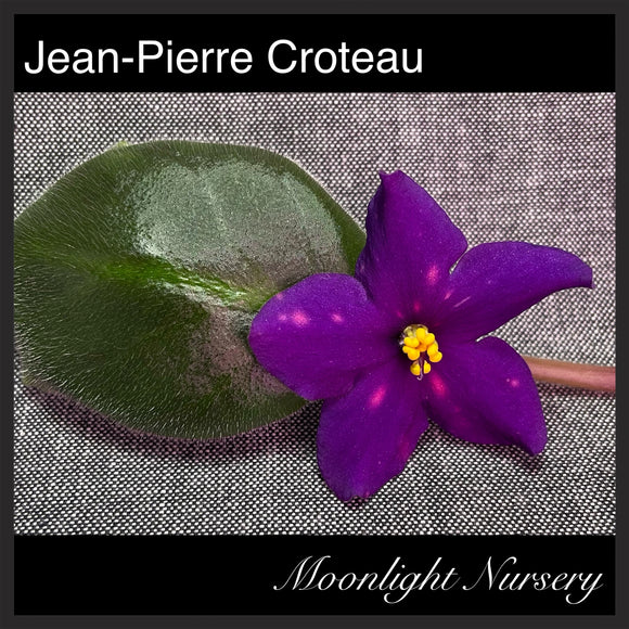 Jean-Pierre Croteau