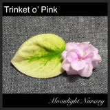 Trinket o' Pink