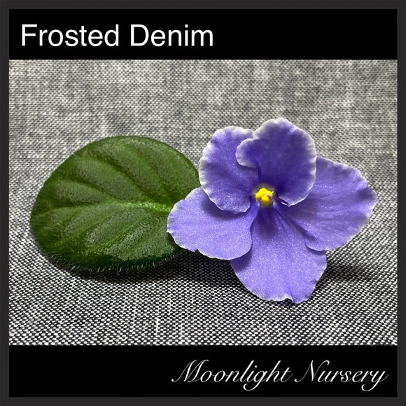 Frosted Denim – Moonlight Nursery