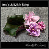 Imp's Jellyfish Sting