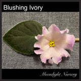 Blushing Ivory