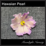 Hawaiian Pearl