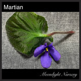 Martian