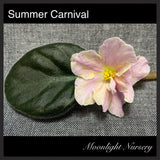 Summer Carnival