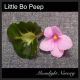 Little Bo Peep