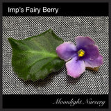 Imp's Fairy Berry