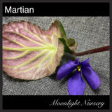 Martian