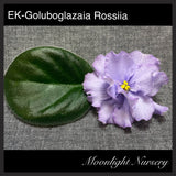 EK-Goluboglazaia Rossiia