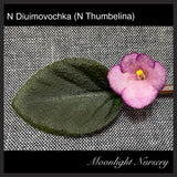 N Diuimovochka (N Thumbelina)