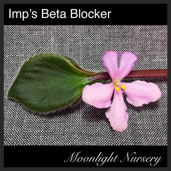 Imp's Beta Blocker