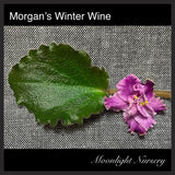 Morgan's Winter Wine