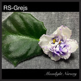 RS-Grejs