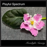 Playful Spectrum