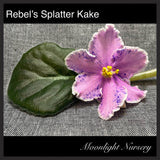 Rebel's Splatter Kake