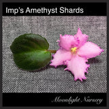 Imp's Amethyst Shards