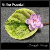 Glitter Fountain