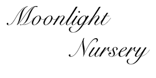 Moonlight Nursery