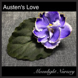 Austen's Love