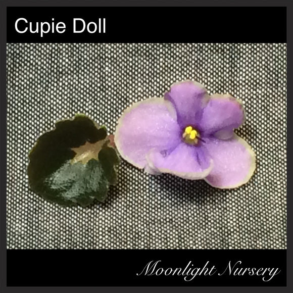 Cupie Doll