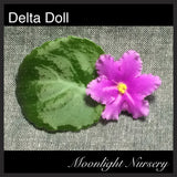 Delta Doll