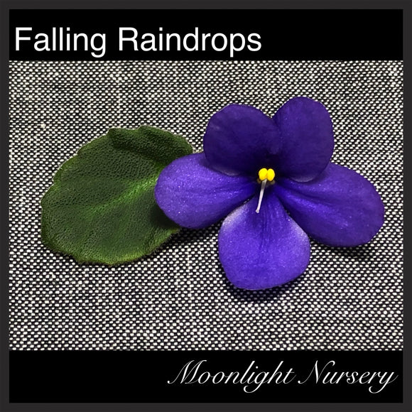 Falling Raindrops