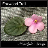 Foxwood Trail