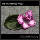 Imp's Christmas Wrap