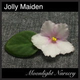 Jolly Maiden