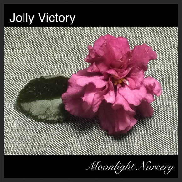 Jolly Victory