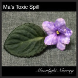 Ma's Toxic Spill