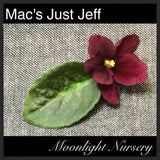 Mac's Just Jeff