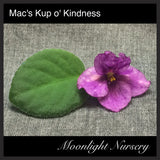 Mac's Kup o' Kindness