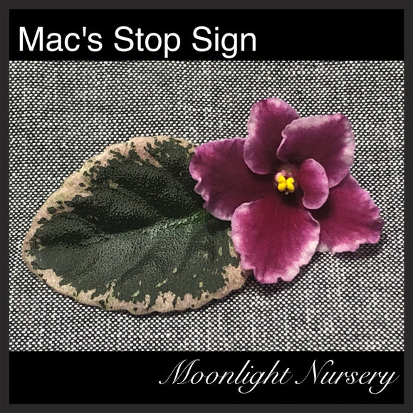 Mac's Stop Sign