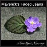 Maverick's Faded Jeans