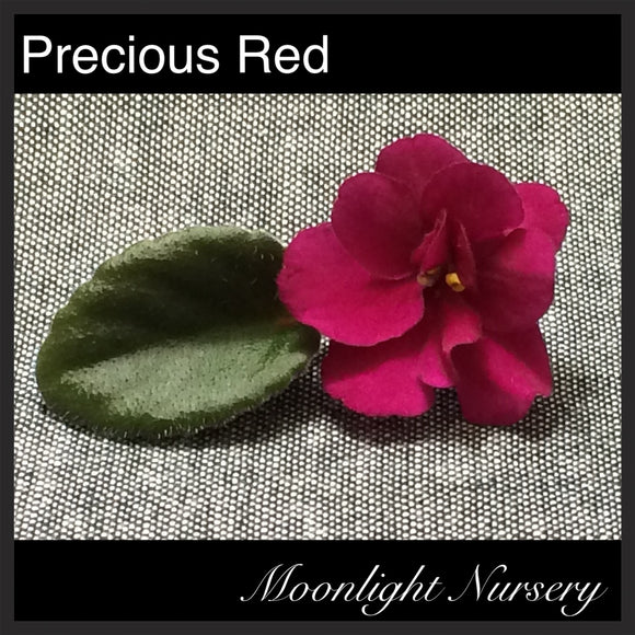 Precious Red