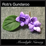 Rob's Gundaroo