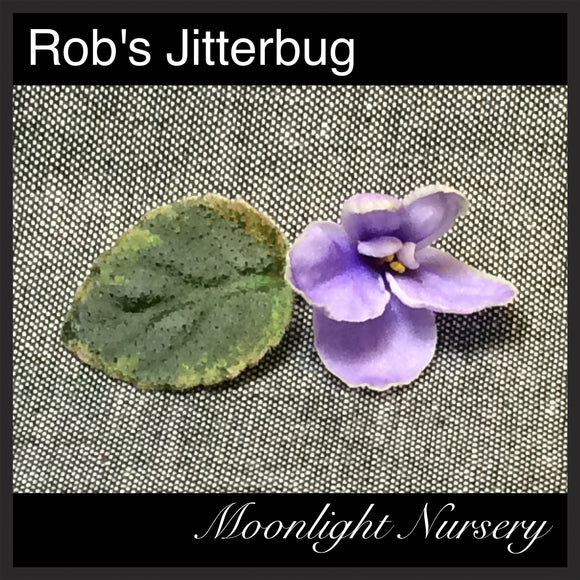 Rob's Jitterbug