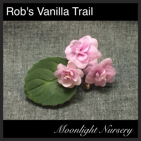 Rob's Vanilla Trail