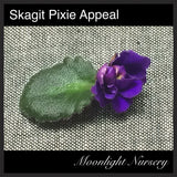 Skagit Pixie Appeal